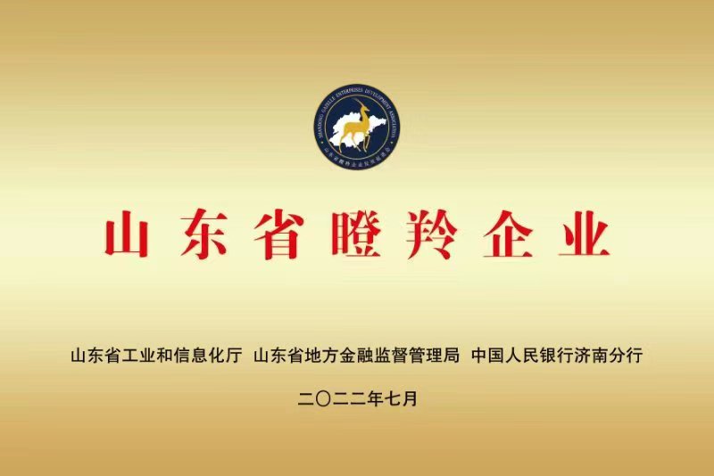 榮譽資質(zhì)